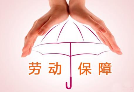 ​海南省劳动保障监察若干规定修订