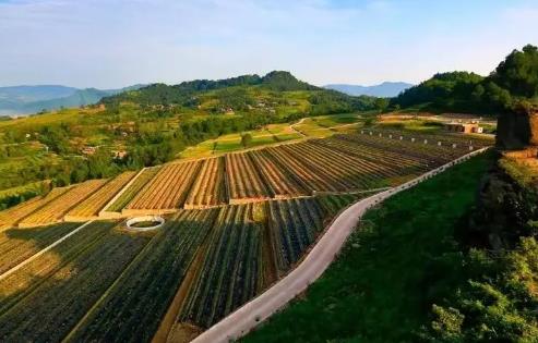 2025年北京市水土保持条例最新