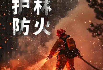 2025年威海市森林防火规定最新