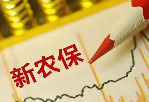 2025年农村新农保缴费标准和领取标准最新