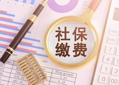 2025年城镇职工社保缴费规定标准最新