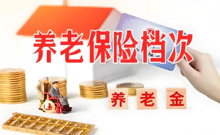 2025年城乡居民养老保险缴费标准最新