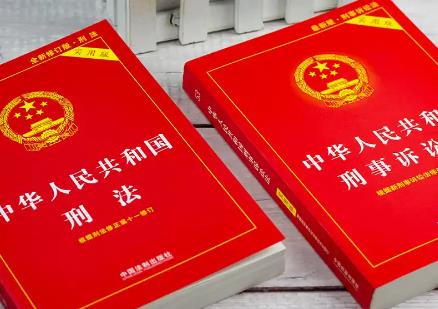 最高人民检察院关于适用刑法分则规定的犯罪的罪名的意见