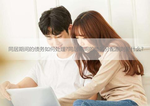 同居期间的债务如何处理?同居期间的债务分配原则是什么?