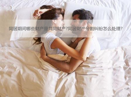 同居期间哪些财产是共同财产?同居财产分割纠纷怎么处理?