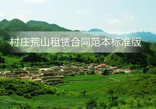 村庄荒山租赁合同范本标准版