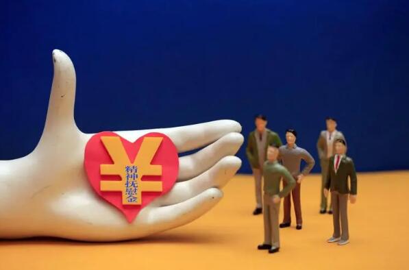 国家赔偿案件精神损害赔偿司法解释