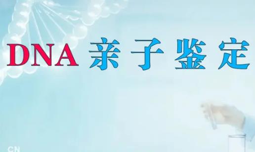 亲子鉴定要多少钱的费用?亲子鉴定需要什么材料和流程?