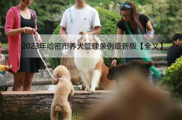 2023年哈密市养犬管理条例最新版【全文】