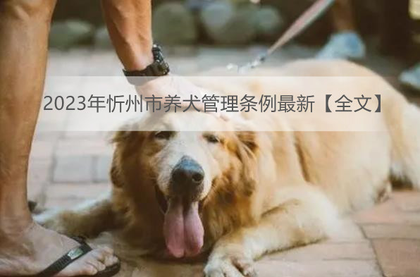 2023年忻州市养犬管理条例最新【全文】