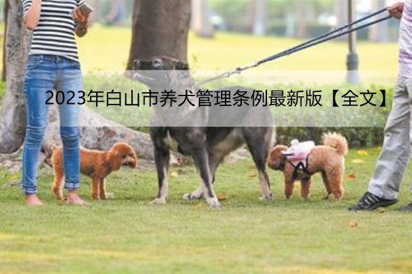 2023年白山市养犬管理条例最新版【全文】