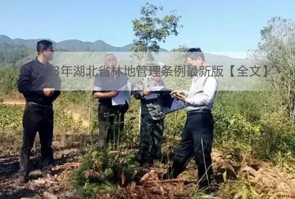 2023年湖北省林地管理条例最新版【全文】