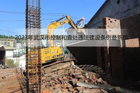 2023年武汉市控制和查处违法建设条例最新版