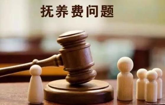 非婚生子女抚养费的标准费用是多少?