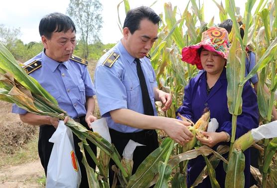 2023年植物检疫条例实施细则最新版本