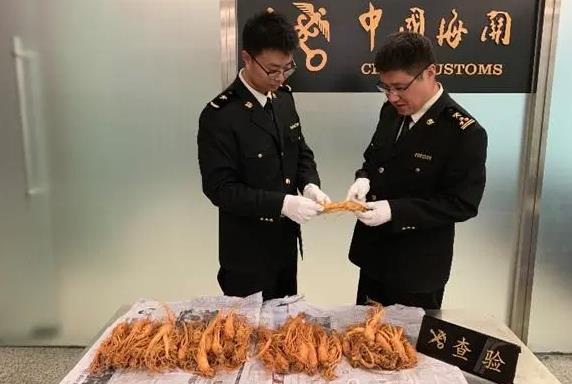 进出境动植物检疫法