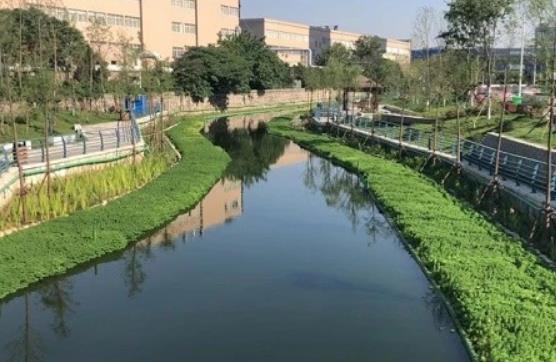 2023年吉林省河道管理条例最新修订【全文】