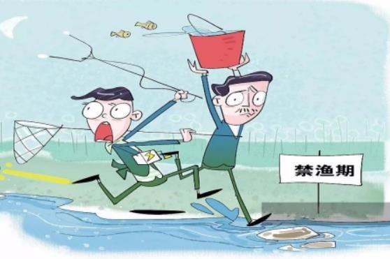 2023年安徽省实施渔业法办法最新版本