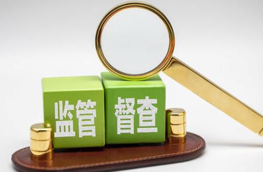 政府督查工作