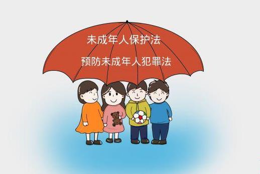 未成年人保护法