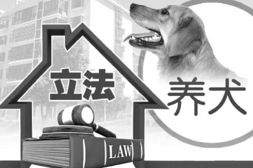 2023年辽宁省养犬管理规定最新版【全文】