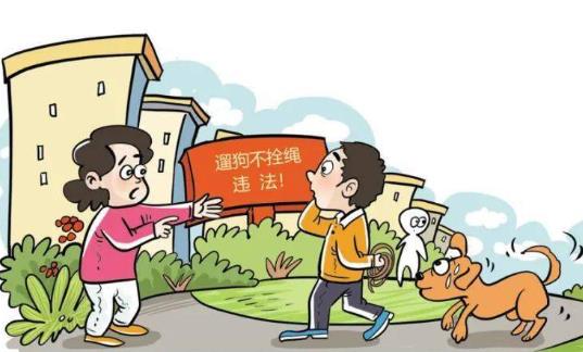 2023年德州市养犬管理条例最新修订【全文】