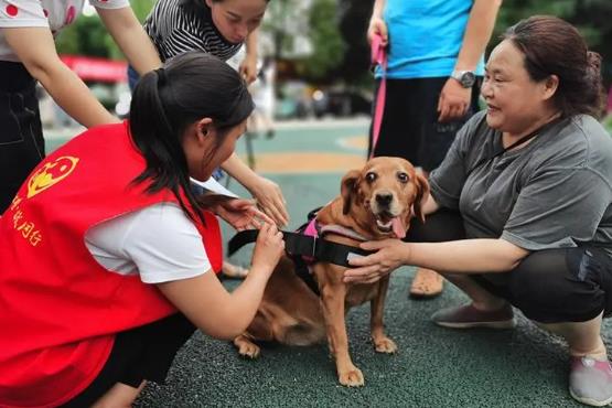 运城市养犬管理规定2023最新版【全文】