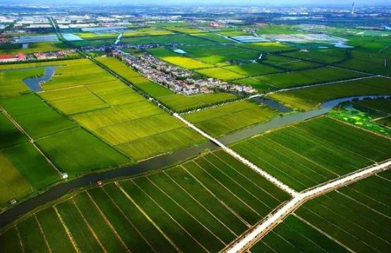 长春市土地管理细则2023最新修订【全文】 