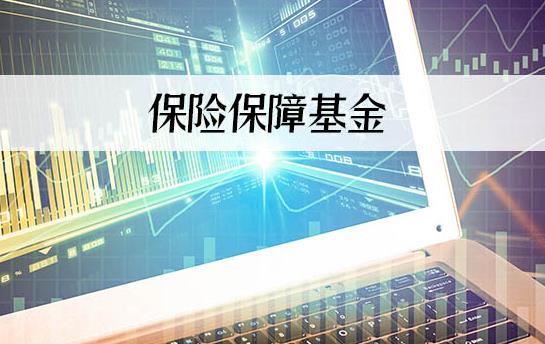 保险保障基金管理