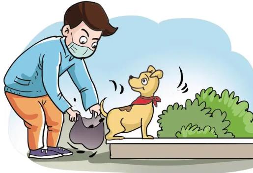 梧州市养犬管理条例