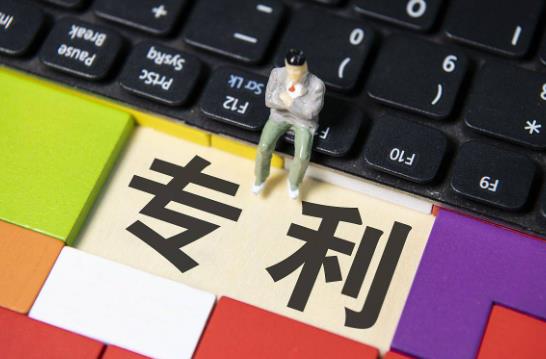 重庆市专利促进与保护条例