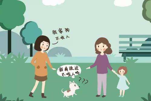 宜昌市养犬管理条例