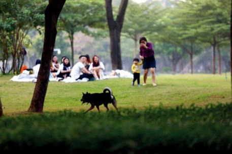 福州市城市养犬管理条例最新版