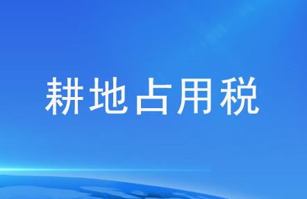 2024年中华人民共和国耕地占用税法最新