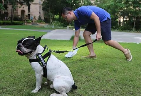 昆明市养犬管理条例