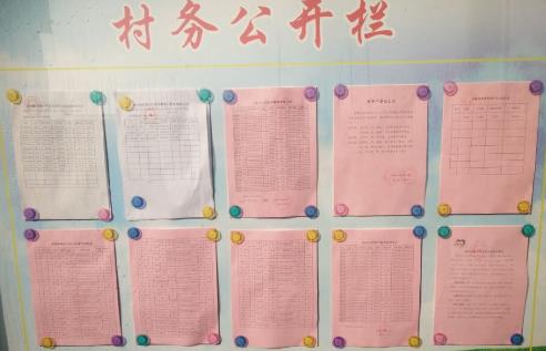 四川省村务公开条例最新