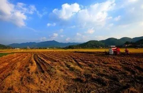 中华人民共和国土地管理法最新