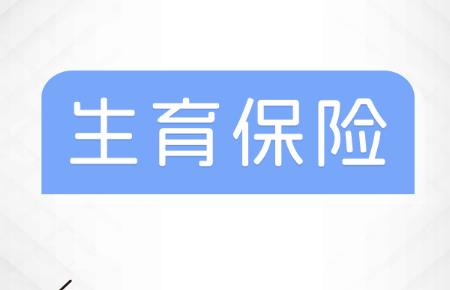 报生育险的流程和资料