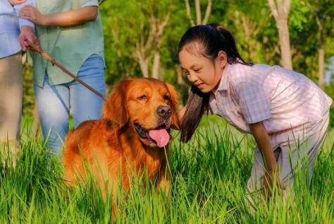 大同市养犬管理规定最新