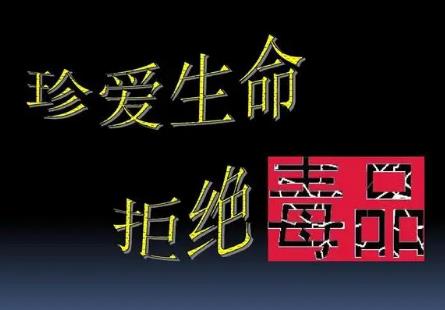 宁夏回族自治区禁毒条例全文