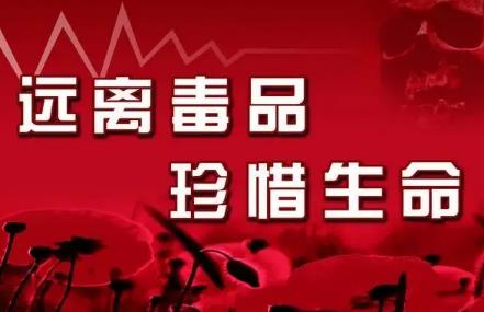 河北省禁毒条例2024全文