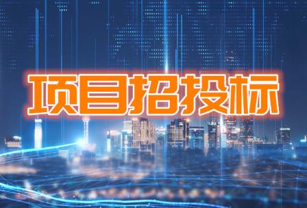 四川省国家投资工程建设项目招标投标条例2024最新