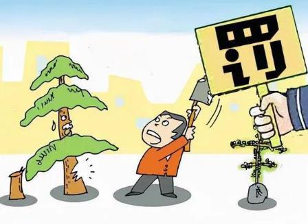 2024年森林资源民事纠纷案件适司法解释最新