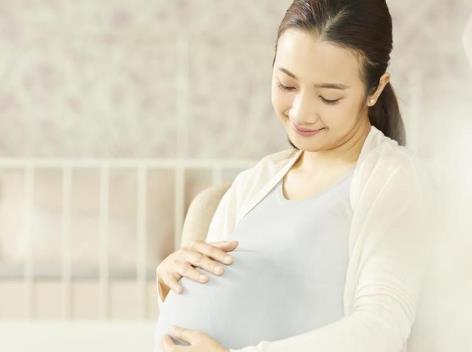 甘肃省人口与计划生育条例2024修订