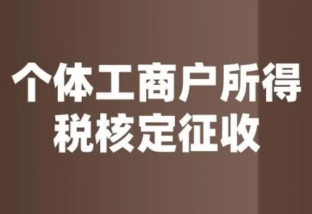 个体经营所得税核定征收2024