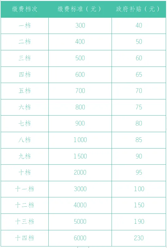 农村养老保险上调新政策2024年