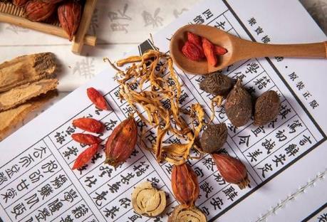 湖北省中医药条例2024最新