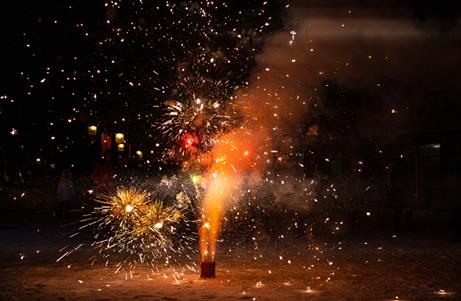 萍乡市烟花爆竹燃放管理条例2024最新版