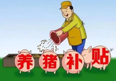 养猪补贴