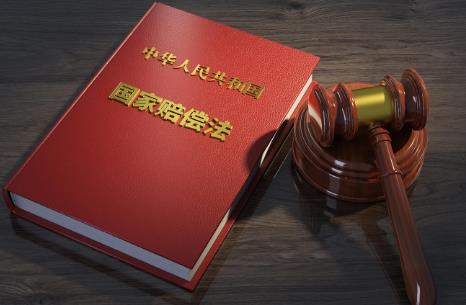 国家赔偿法律规定标准2024年